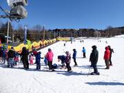 Oefenweide met transportband