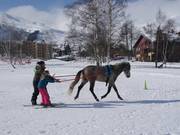 Tip voor de kleintjes 