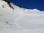 Uitstapje in de diepe sneeuw