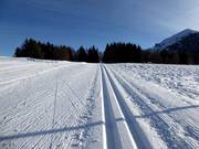 Perfect geprepareerde loipe