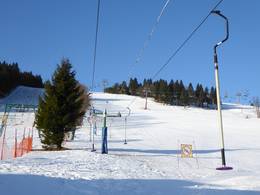Irenka (G4)