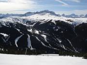 Uitzicht vanaf de Goat's Eye Mountain op de bosafdalingen