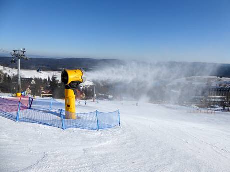 Sneeuwzekerheid Adelaarsgebergte – Sneeuwzekerheid Zieleniec