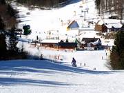 Afwisselende hellingen en veel variatie: noordhellingen van de Herrloh