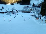 Makkelijke piste bij de Mühlhanglift in Zöblen