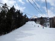 Bosafdalingen domineren in Furano