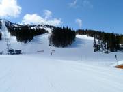 Uitzicht op de pistes Wishbone en Jersey Cream Road