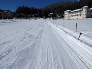 Eggerfeld - Sleeplift/babyllift