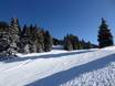 Skigebieden voor beginners in het Meraner Land – Beginners Vigiljoch (Monte San Vigilio) – Lana