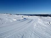Loipe Toppspåret op de top