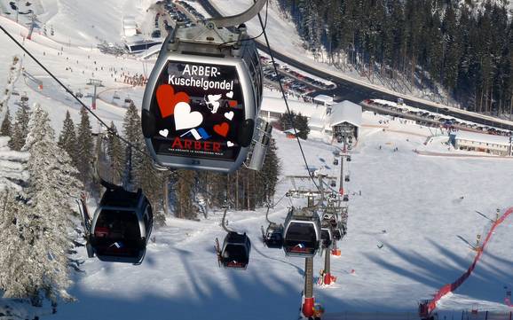 Skiliften Zwieseler Winkel – Liften Arber