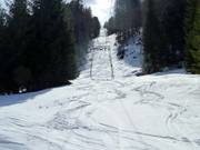 Gelbhansekopflift - Sleeplift met T-beugel/Ankerlift