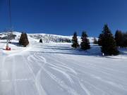 Perfecte pistepreparatie op de Zettersfeld