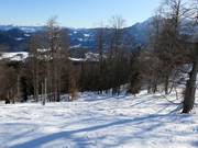 Sporen in de diepe sneeuw bij de Götschenkopf