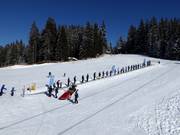 Skiförderband Mittelstation Koglmoos - Transportband/Moving Carpet