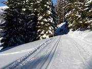 Panoramaloipe bij de Kristberg