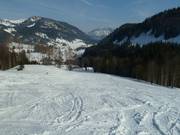 Uitzicht op het Heutal vanaf de pistes