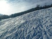 Diepsneeuwsporen bij de Einhornbahn II