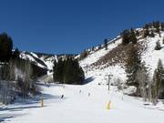 Gemakkelijke dalafdaling River Run