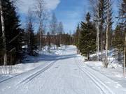 Langlaufloipes in Kläppen