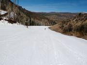 Afdaling bij de Arrowhead Mountain