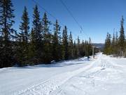 Brynbekken - Sleeplift met T-beugel/Ankerlift