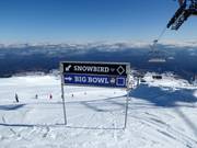 Pistebewegwijzering in het skigebied Tūroa