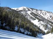 Moeilijke piste Olympic