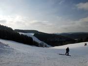 Uitzicht vanaf de dorpsrand over de Kapellenhang naar de Steilhang