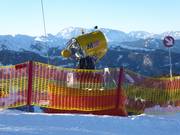 Sneeuwkanon Flachauwinkl met vangnet