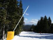 Uitgebreide besneeuwing in Borovets