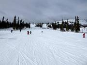 Gemakkelijke en brede piste Barnbackarna