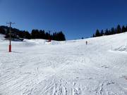 Gemakkelijke piste Grafenherbergschuss