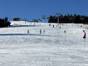 Gemakkelijke piste Glocknerwiese