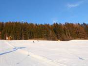 Gemakkelijke piste bij de Panoramalift Terenten