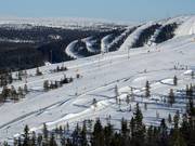 Tip voor de kleintjes 