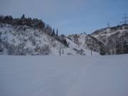 Makkelijke piste in het skigebied Naspa Ski Garden
