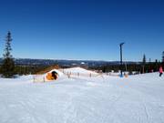 Tip voor de kleintjes 