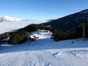 FIS-standaardafdaling