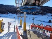 Quadri - Pannenkoeklift