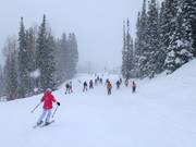 Piste naar Red Pine Lodge