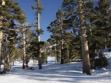 Skigebieden voor gevorderden en off-piste skiërs Lake Tahoe – Gevorderden, off-piste skiërs Heavenly