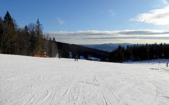 Skigebieden voor beginners in het district Rohrbach – Beginners Hochficht