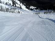 Geprepareerde piste in de Cedar Bowl