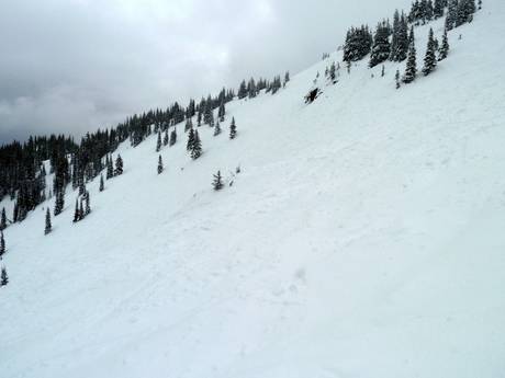 Skigebieden voor gevorderden en off-piste skiërs Columbia-Shuswap – Gevorderden, off-piste skiërs Revelstoke Mountain Resort