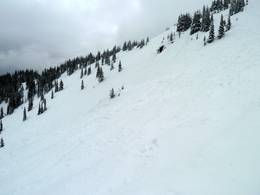 Revelstoke Mountain Resort