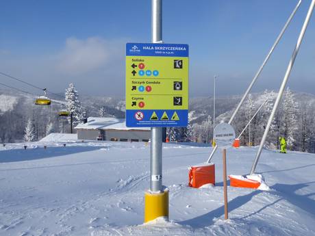 Poolse Karpaten: oriëntatie in skigebieden – Oriëntatie Szczyrk Mountain Resort