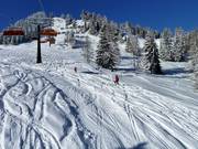 Diepsneeuw onder de Strassalmbahn