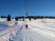 Stroblerlift - Sleeplift met T-beugel/Ankerlift