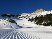 Zeer goede pistepreparatie